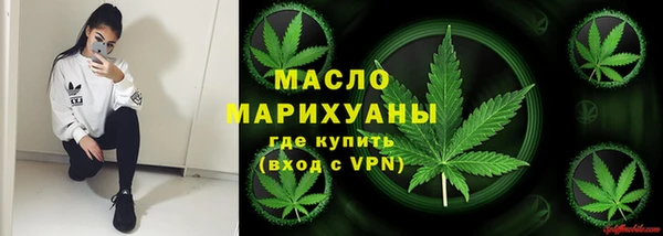 прущие грибы Аркадак