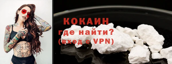 прущие грибы Аркадак