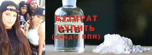 прущие грибы Аркадак