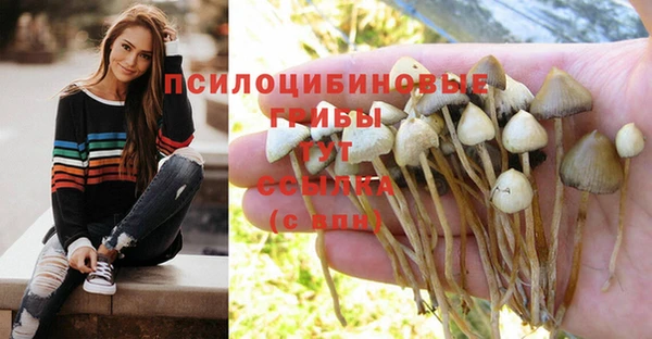 COCAINE Арсеньев