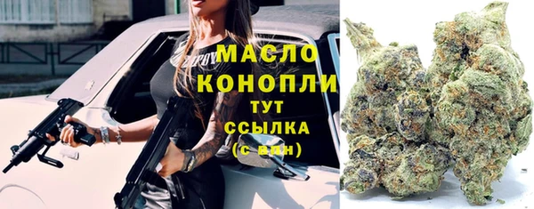 прущие грибы Аркадак