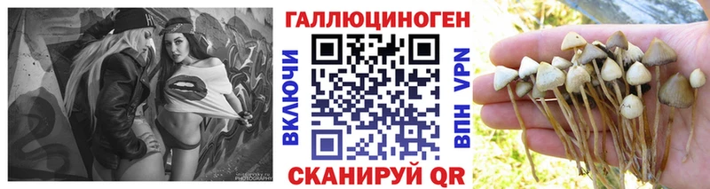 купить наркотики сайты hydra как зайти Псилоцибиновые грибы Cubensis Ступино